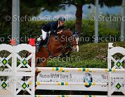 COLOMBO Sir Luis GioCav2013 S5 3002 : COLOMBO Alessandro, Campionati Italiani Giovani Cavalli, Cattolica, Sir Luis, ph Stefano Secchi ©